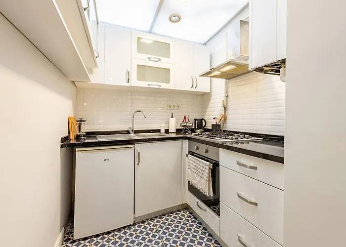 度假居 Private Building W Terrace Walk To Taksim & 6 Guests